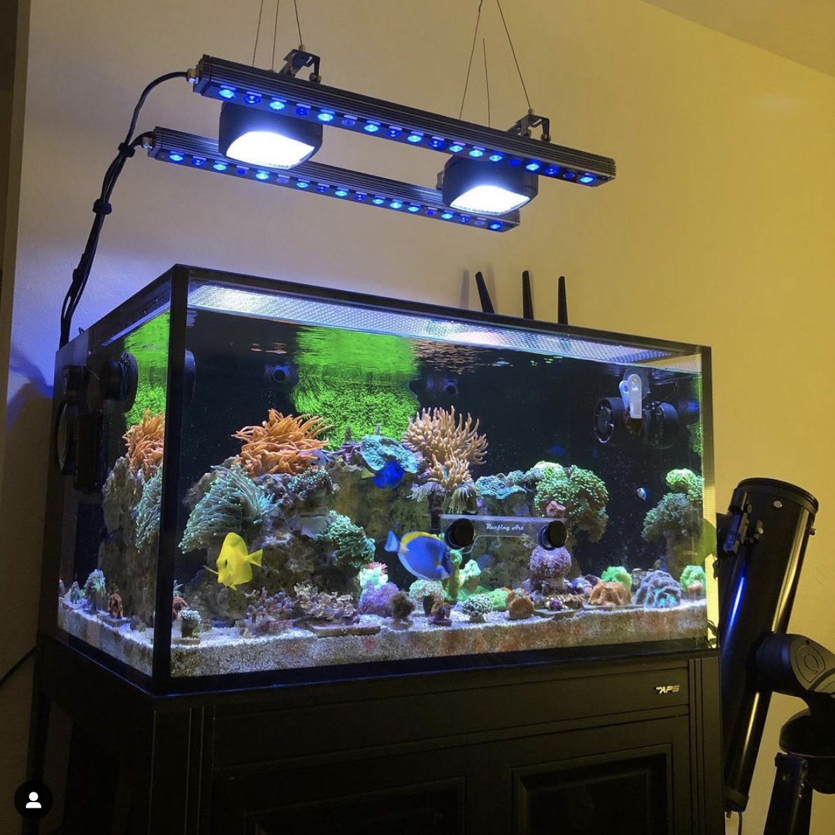 Orphek OR3 בר LED עם Aquaillumination