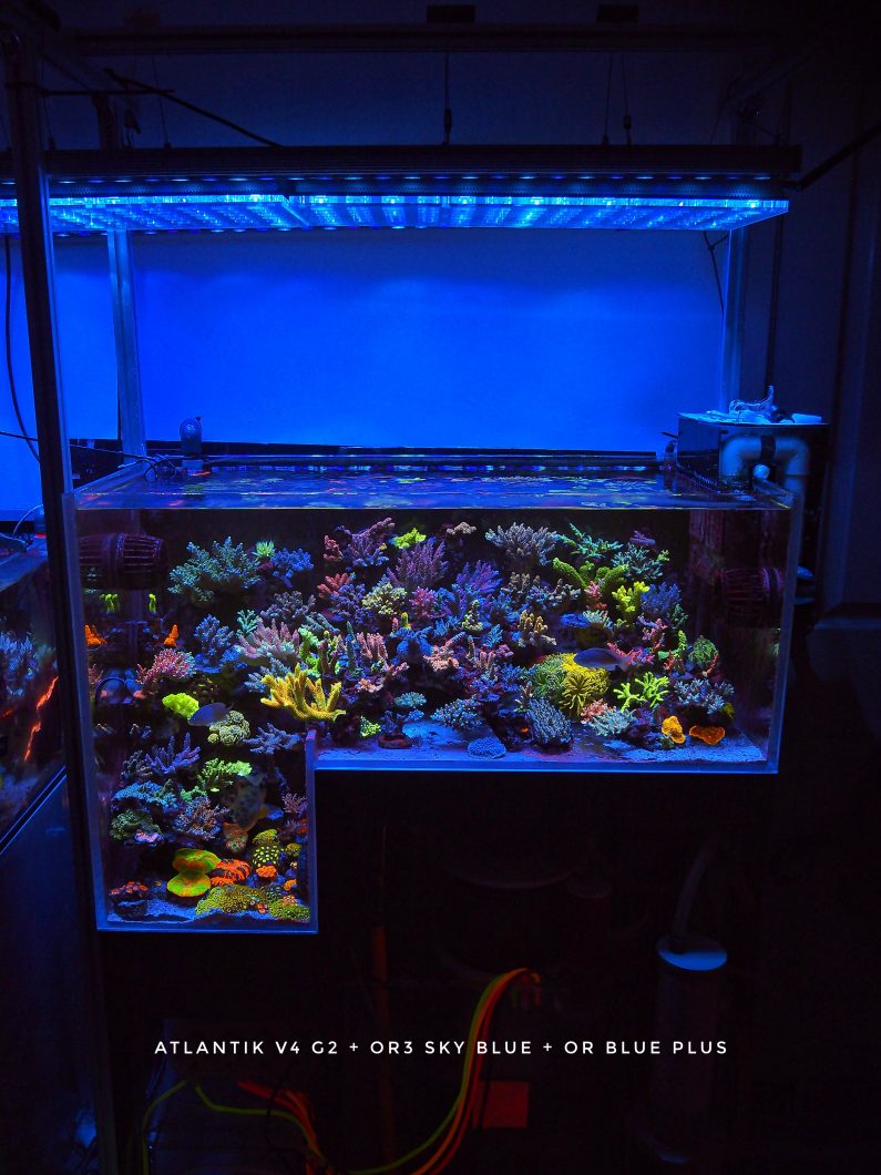 베스트_LED_strip_reef_aquarium