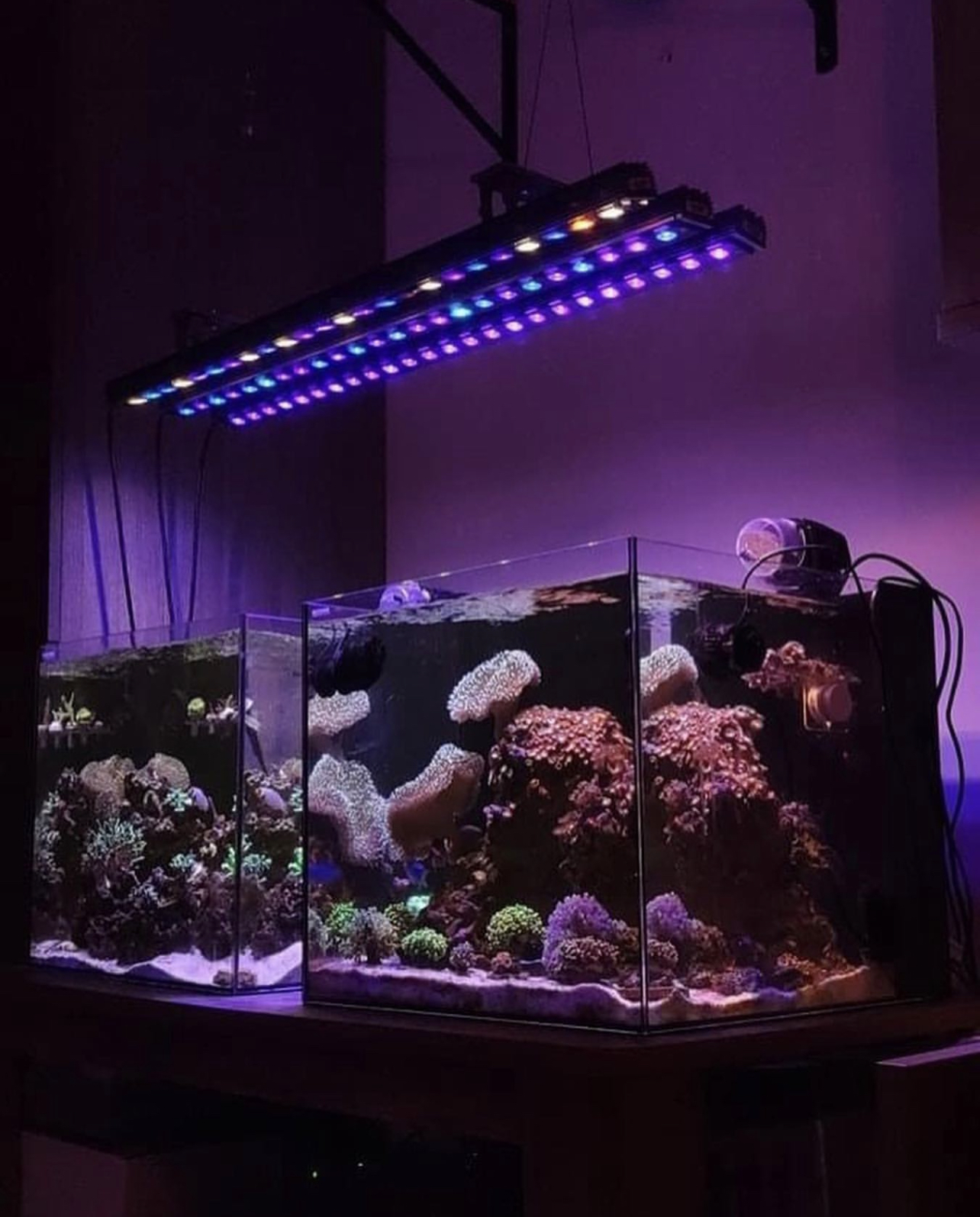 OR3 150 / 120 / 90 / 60 Reef Bar LED Light • Orphek Reef Aquarium 