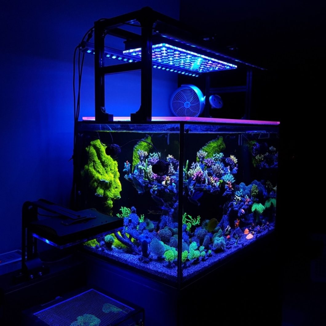 Awesome reef tanks combining Orphek's Atlantik V4 with OR3 Blue Sky