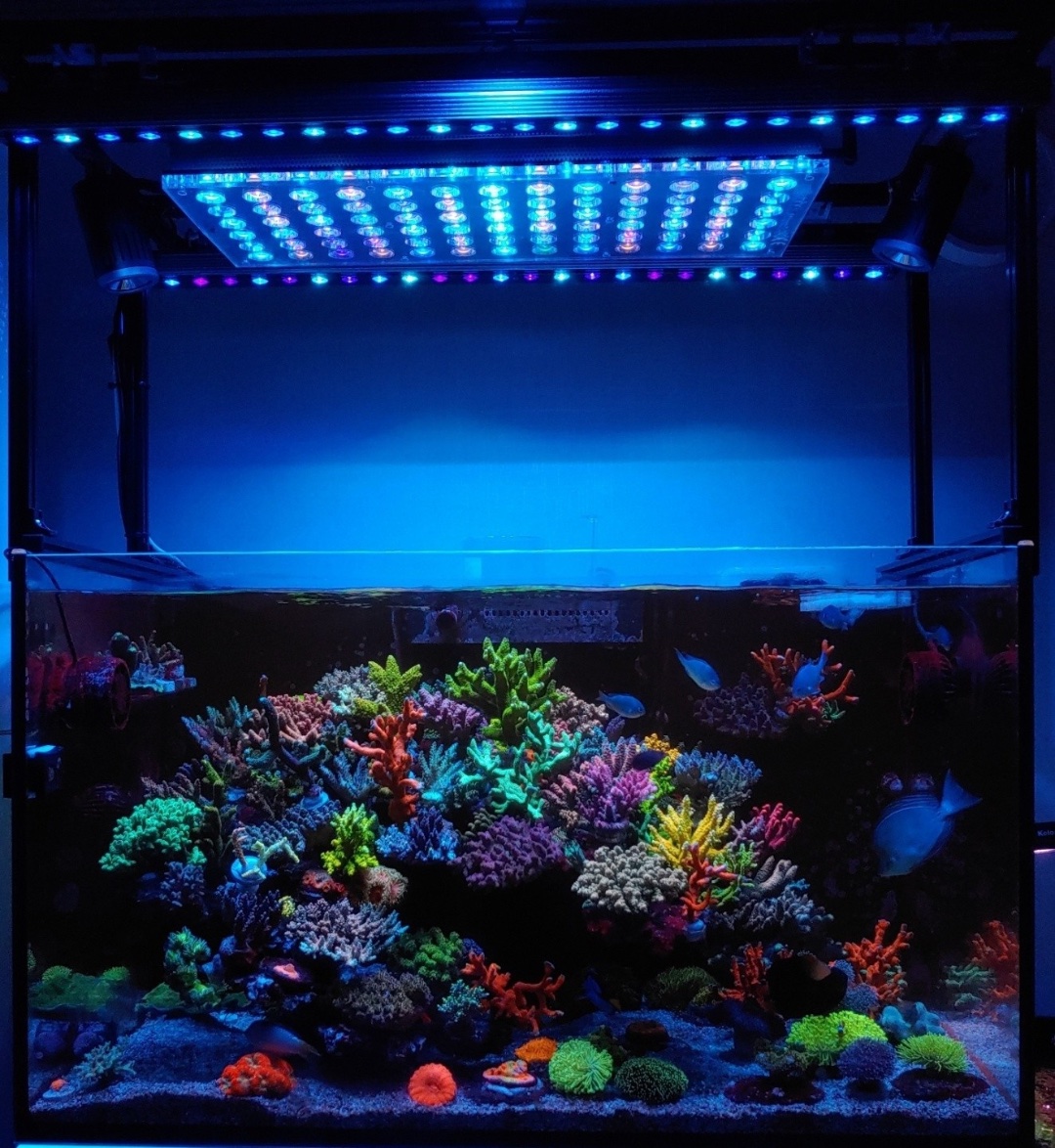 Orpheks Atlantik V4 med OR3 Blue Sky Reef Aquarium LED-barer