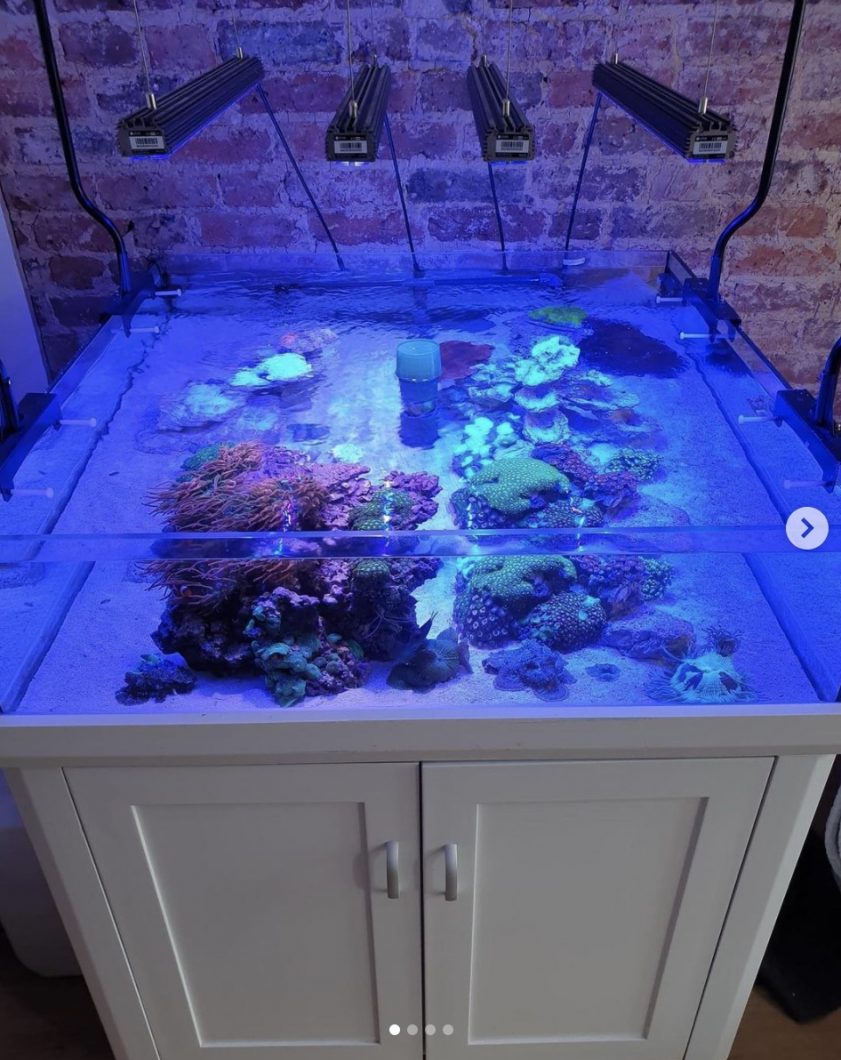 More awesome reef tanks with Atlantik V4 OR3 Blue Sky, Blue Plus