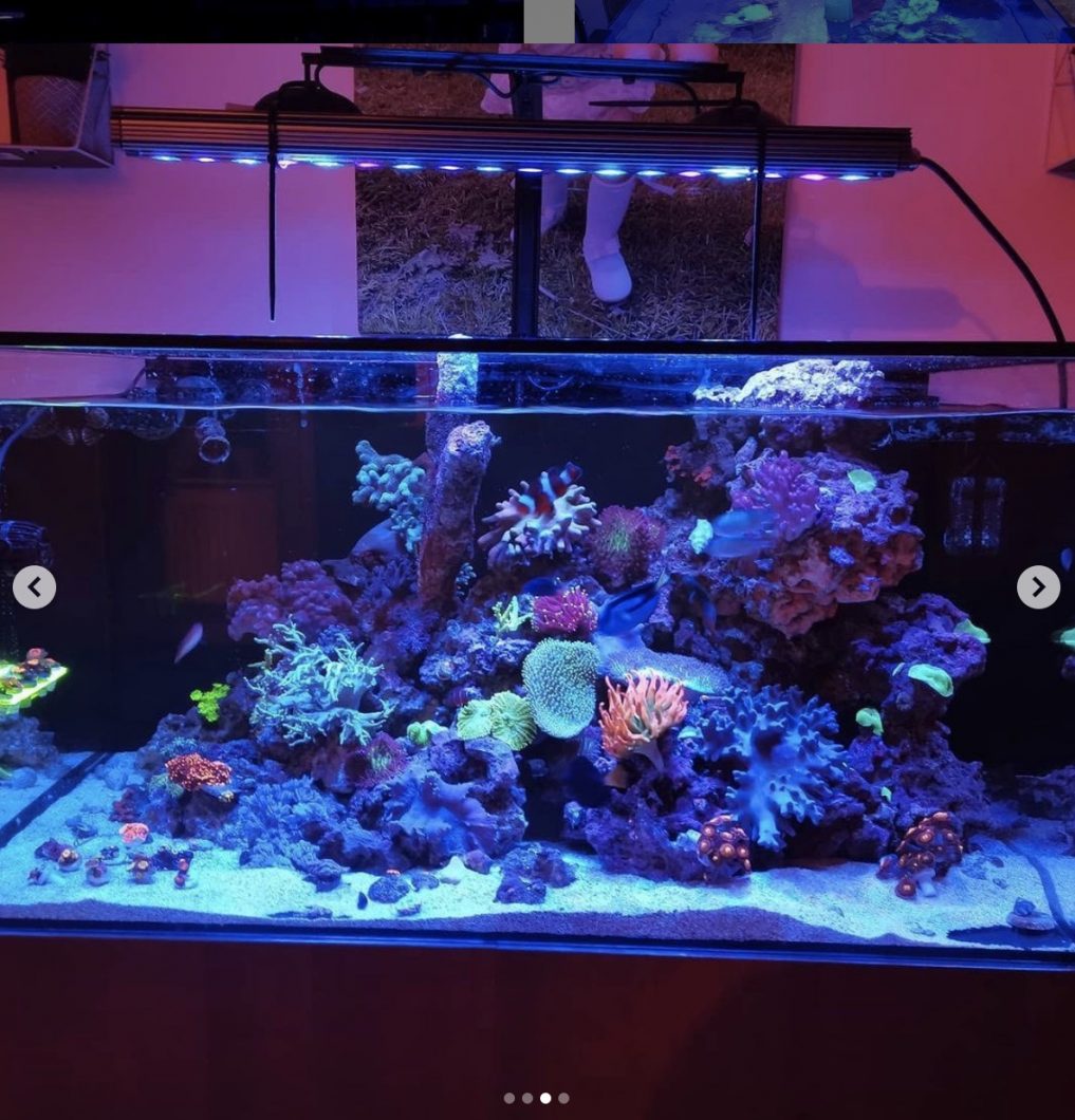 More awesome reef tanks with Atlantik V4 OR3 Blue Sky, Blue Plus