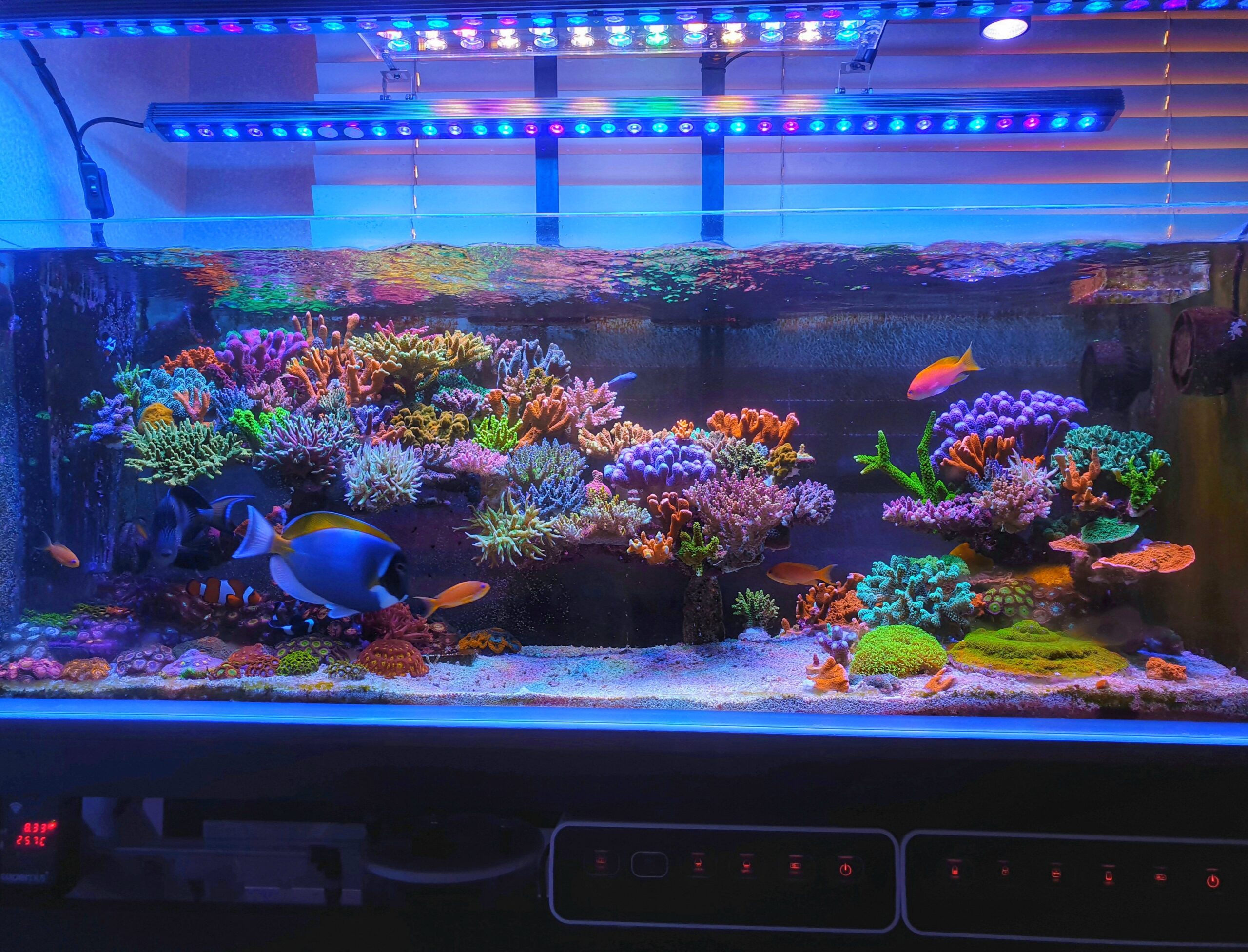 Bellissimi colori e aspetto chiaro sotto il mix di una barra LED Atlantik e OR3 Blue Plus