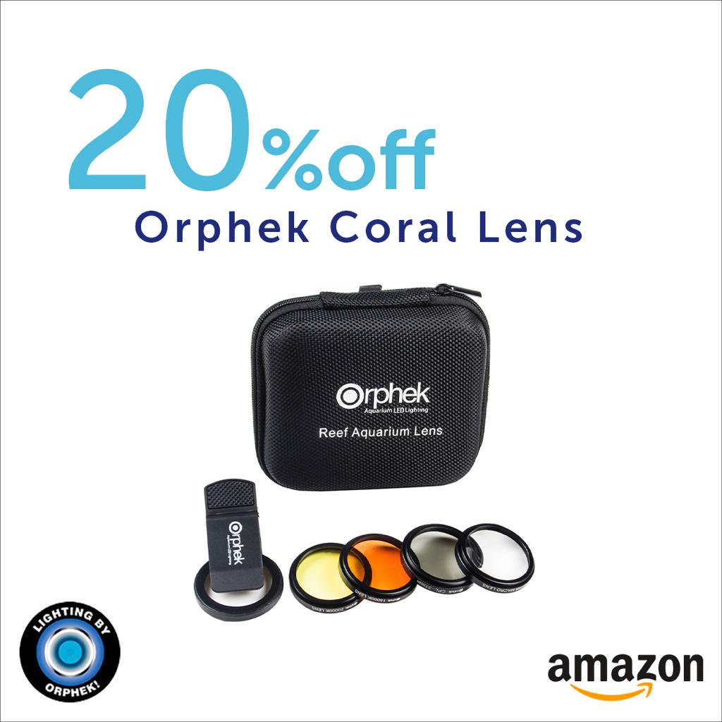 coral lens kti orphek discount