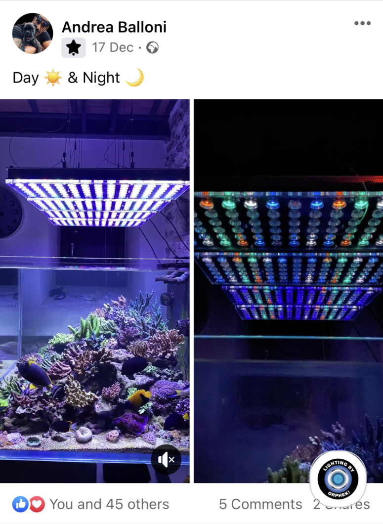 アトランティック-iCon-リーフ-水族館-LED-ライト-第一印象-クライアントによるレビュー-2022