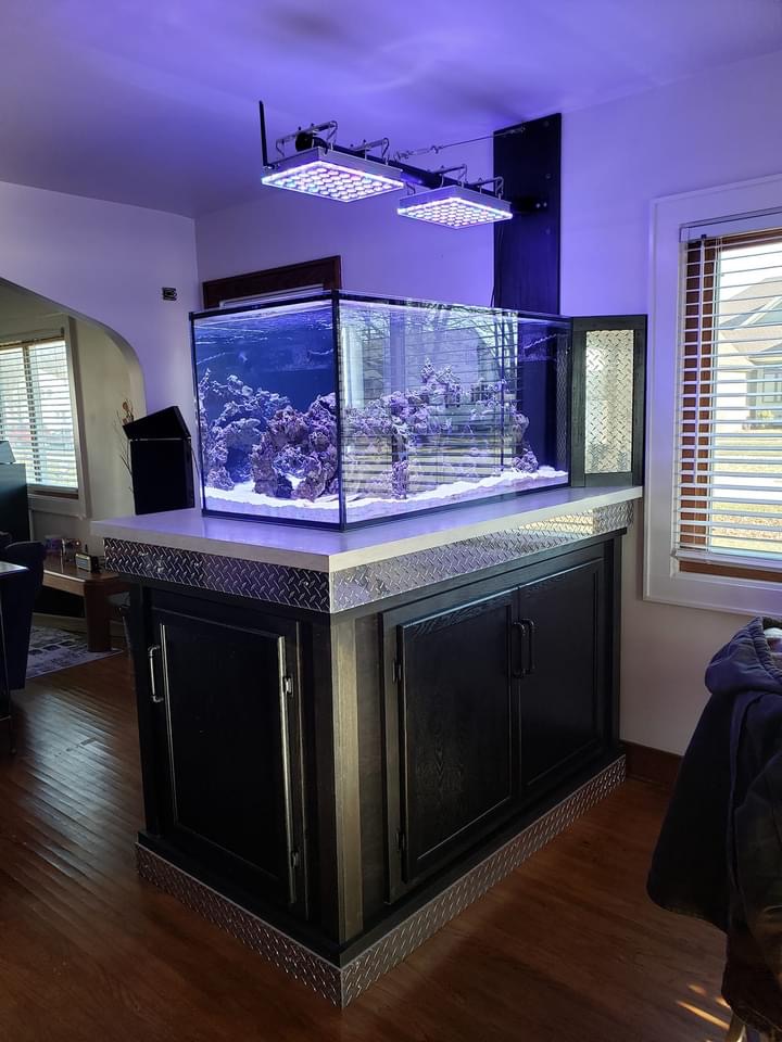 Atlantik-iCon-Reef-Aquarium-LED-Light-First-Impressions-Reviews-Photos-by-Clients2 (الصور من قبل العملاء XNUMX)