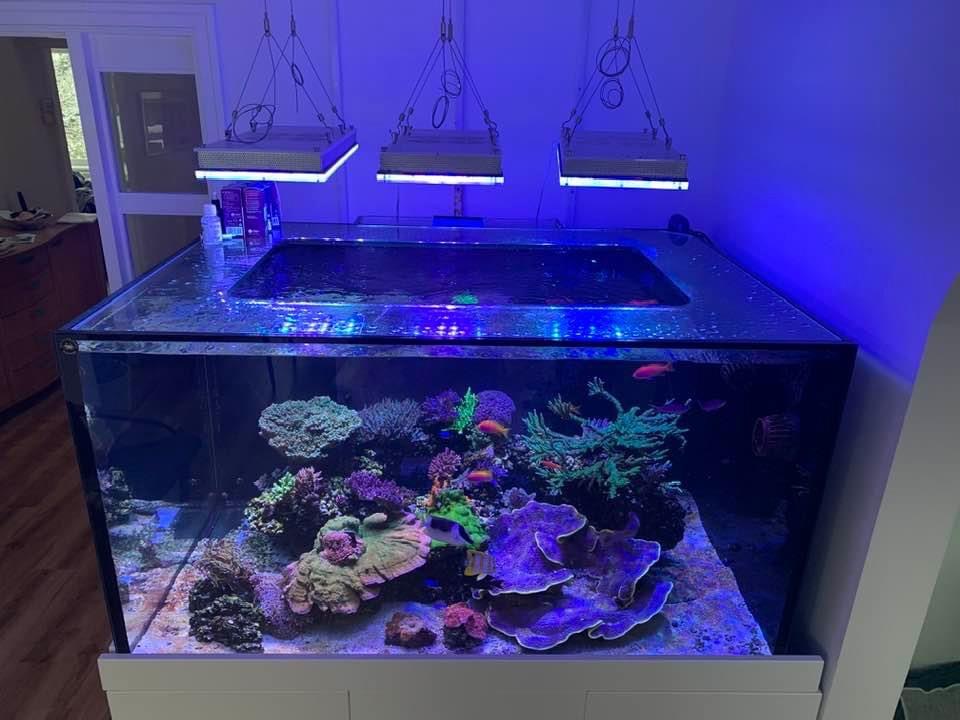 Atlantik-iCon-Reef-Aquarium-LED-Light-الانطباعات الأولى-المراجعات