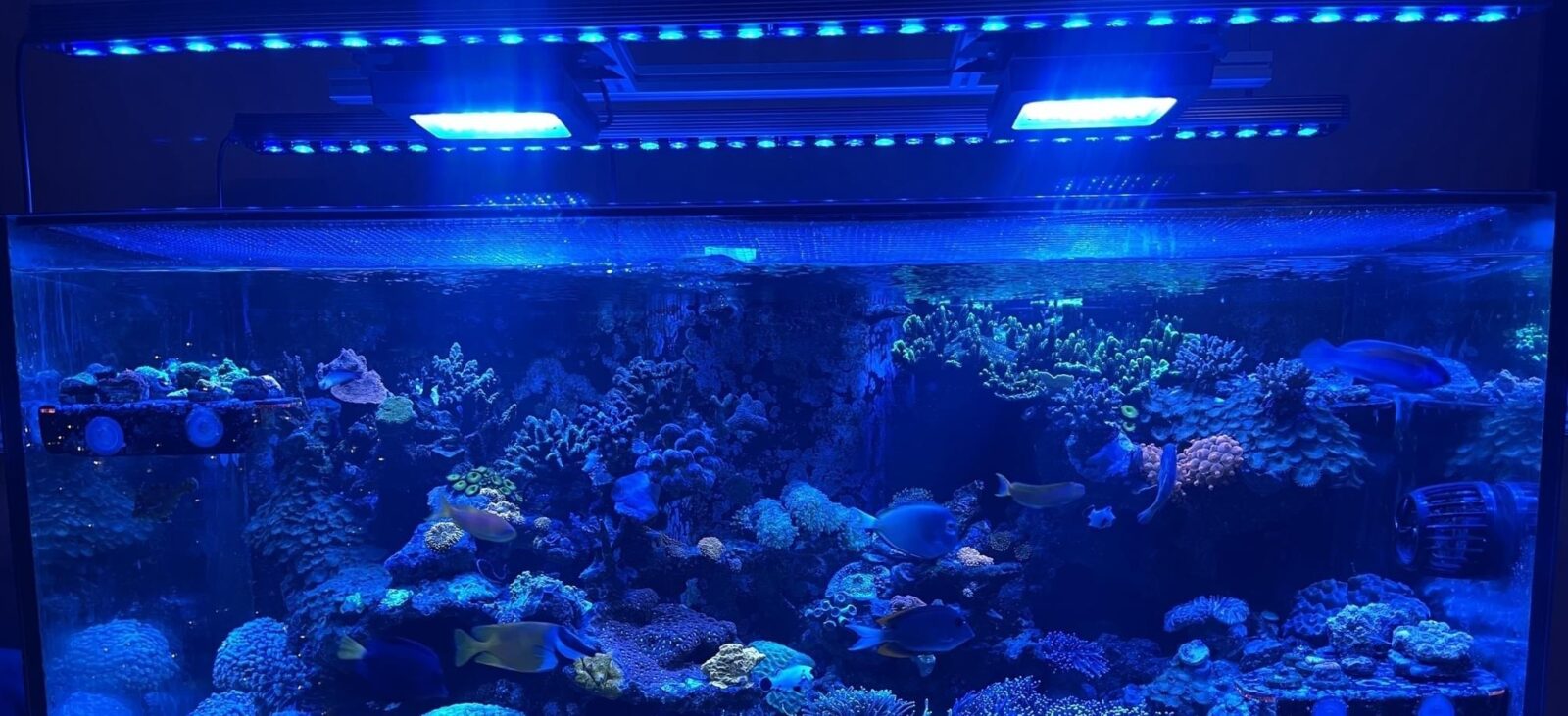 OR3 Blue Sky - Barre LED pour aquarium récifal - Orphek