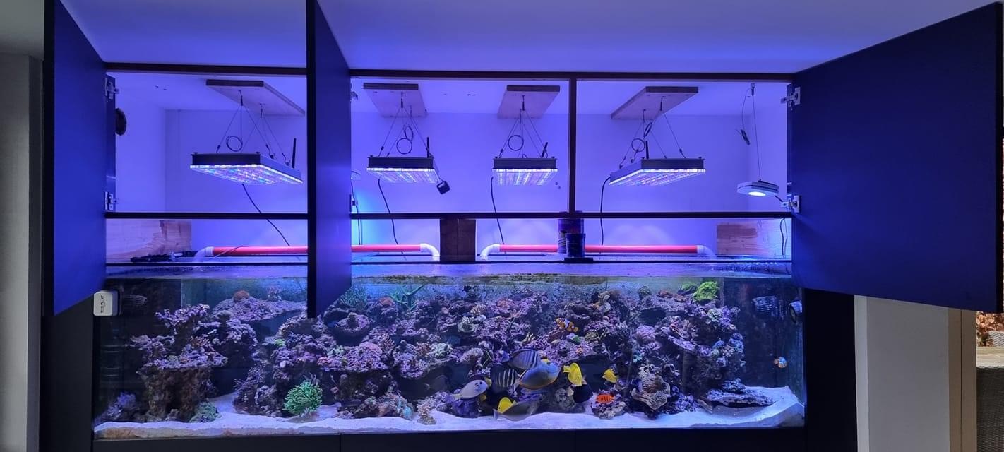 atlantik-icon-reef-lumière-led