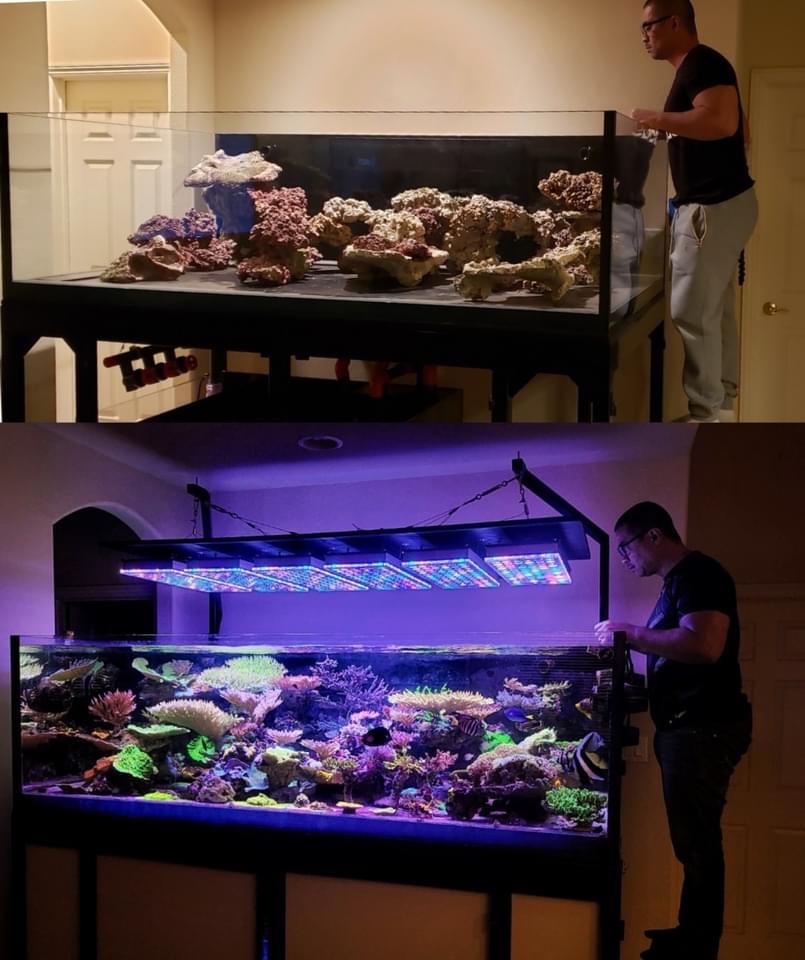 bedste reef akvarium led lys 2022