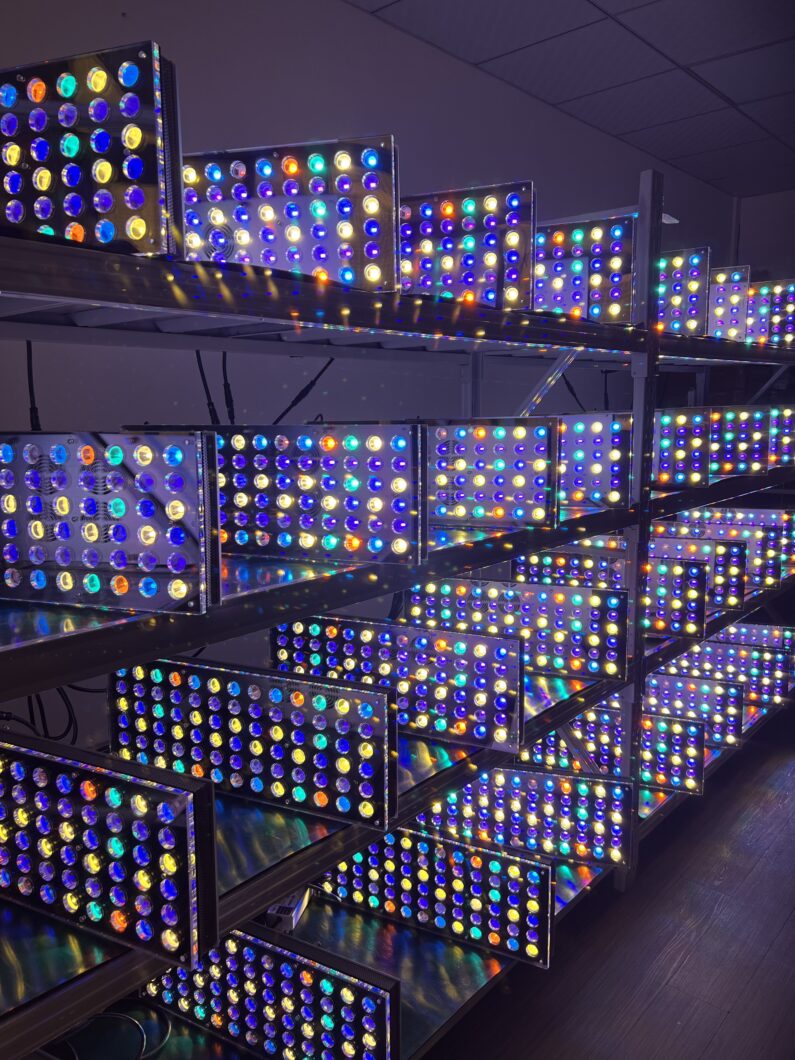 paras-2022-riutta-akvaario-LED-valo