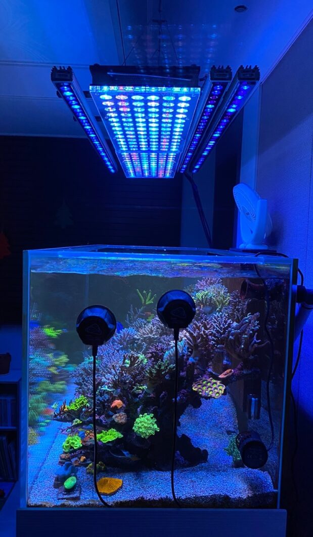 Lampe Aquarium verre sur pied en croix, Chehoma [24011]