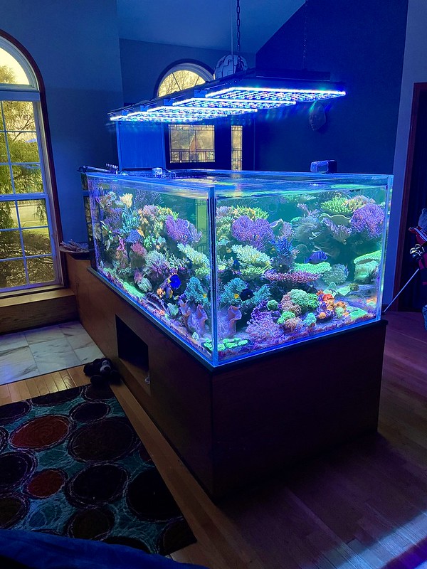 Atlantik-ikon-rev akvarium led lys