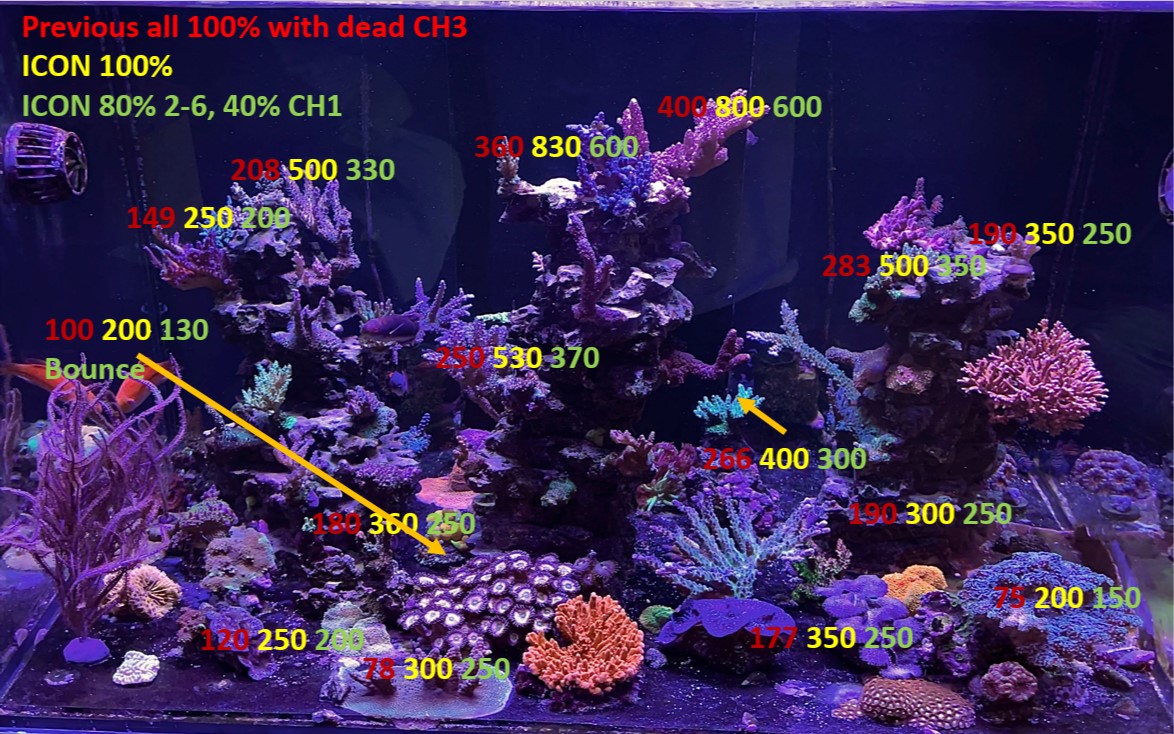 Atlantik iCon Reef Aquarium LED-Licht Erster Eindruck Bewertungen