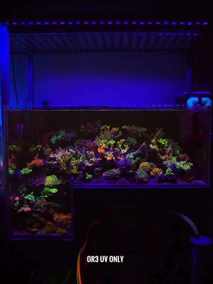 Or3-ультрафиолетовый-светодиодный-бар-риф-аквариум