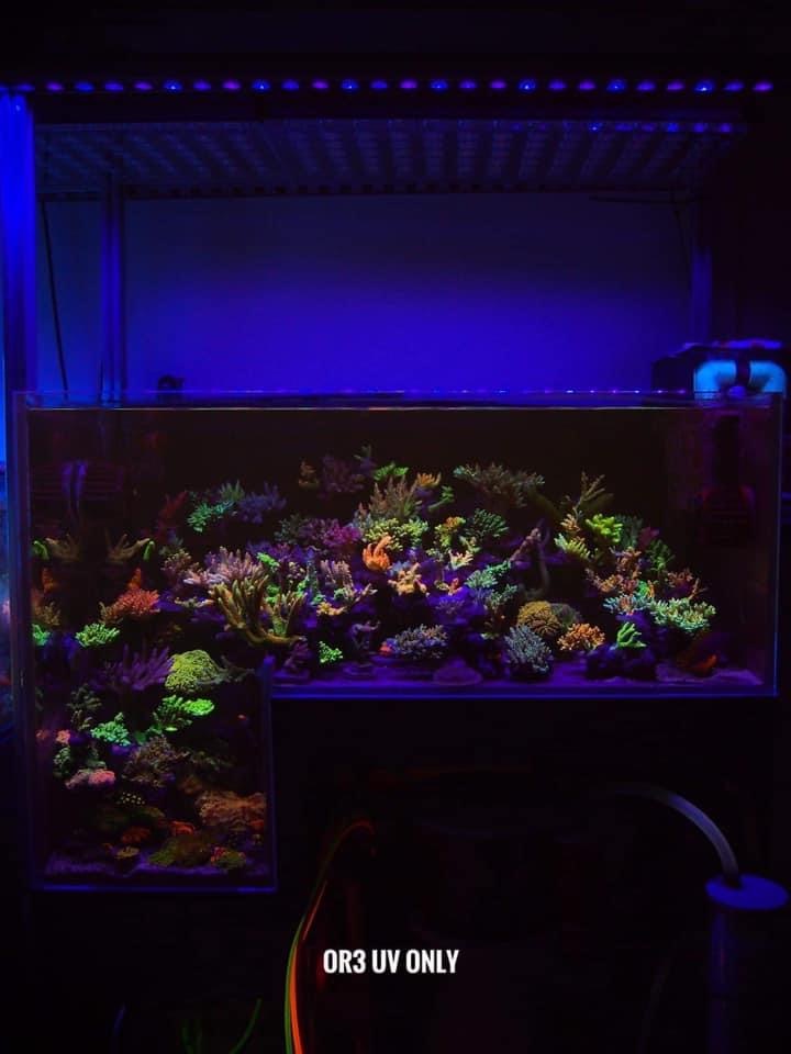 OR3 150 / 120 / 90 / 60 Reef Bar LED Light • Orphek Reef Aquarium 