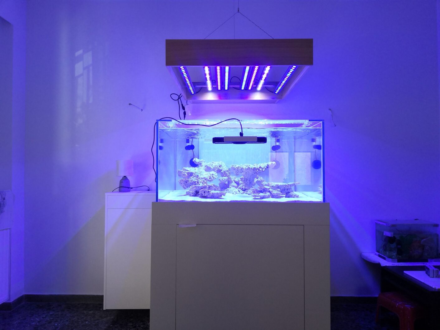 meilleur-aquarium-d'eau salée-LED-Bar