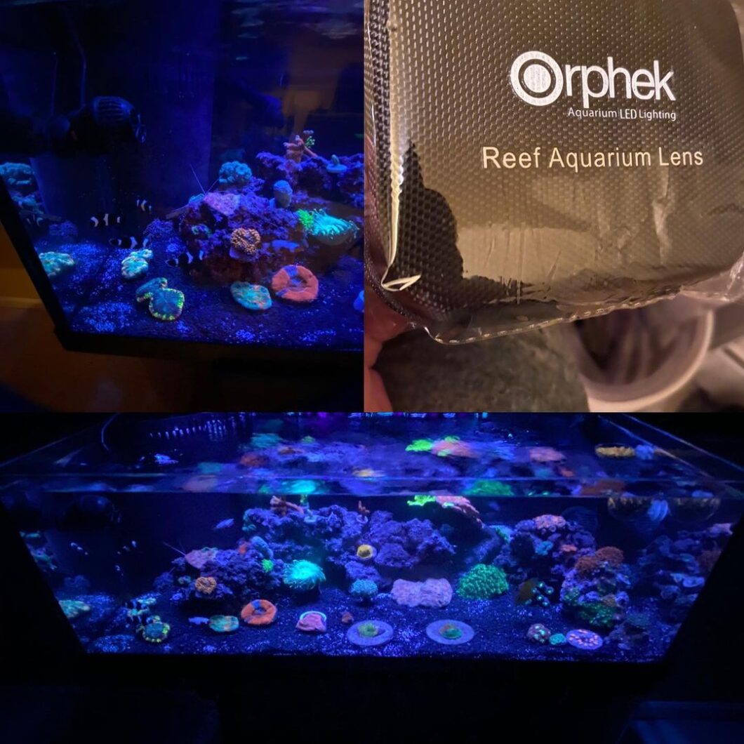 orphek coral lens reef aquarium