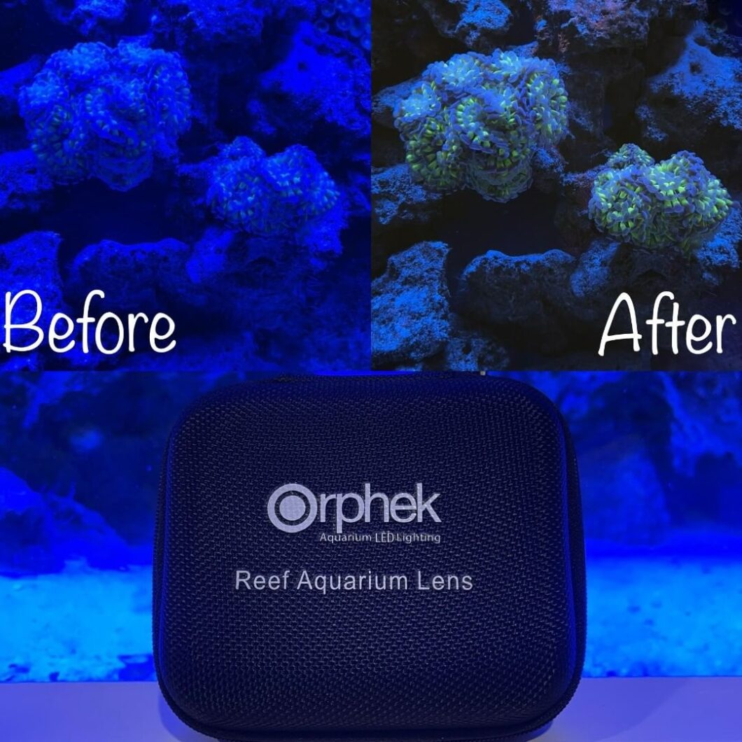 antes e depois kit de lente coral para telefone