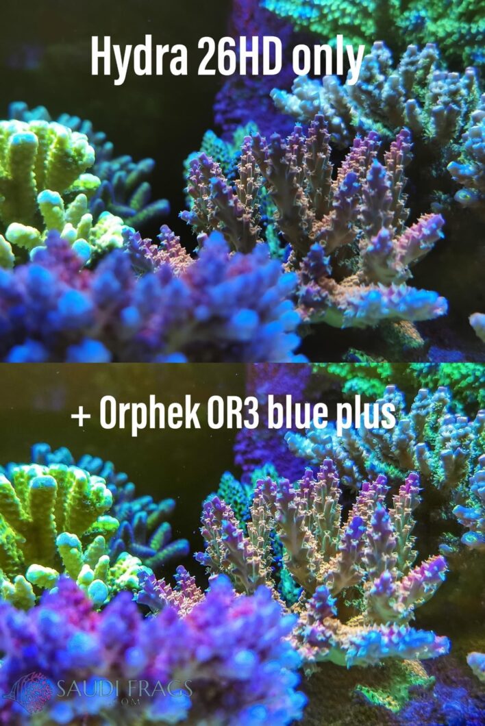 Orphek OR3 LED Bar-hydra 26 HD dipimpin