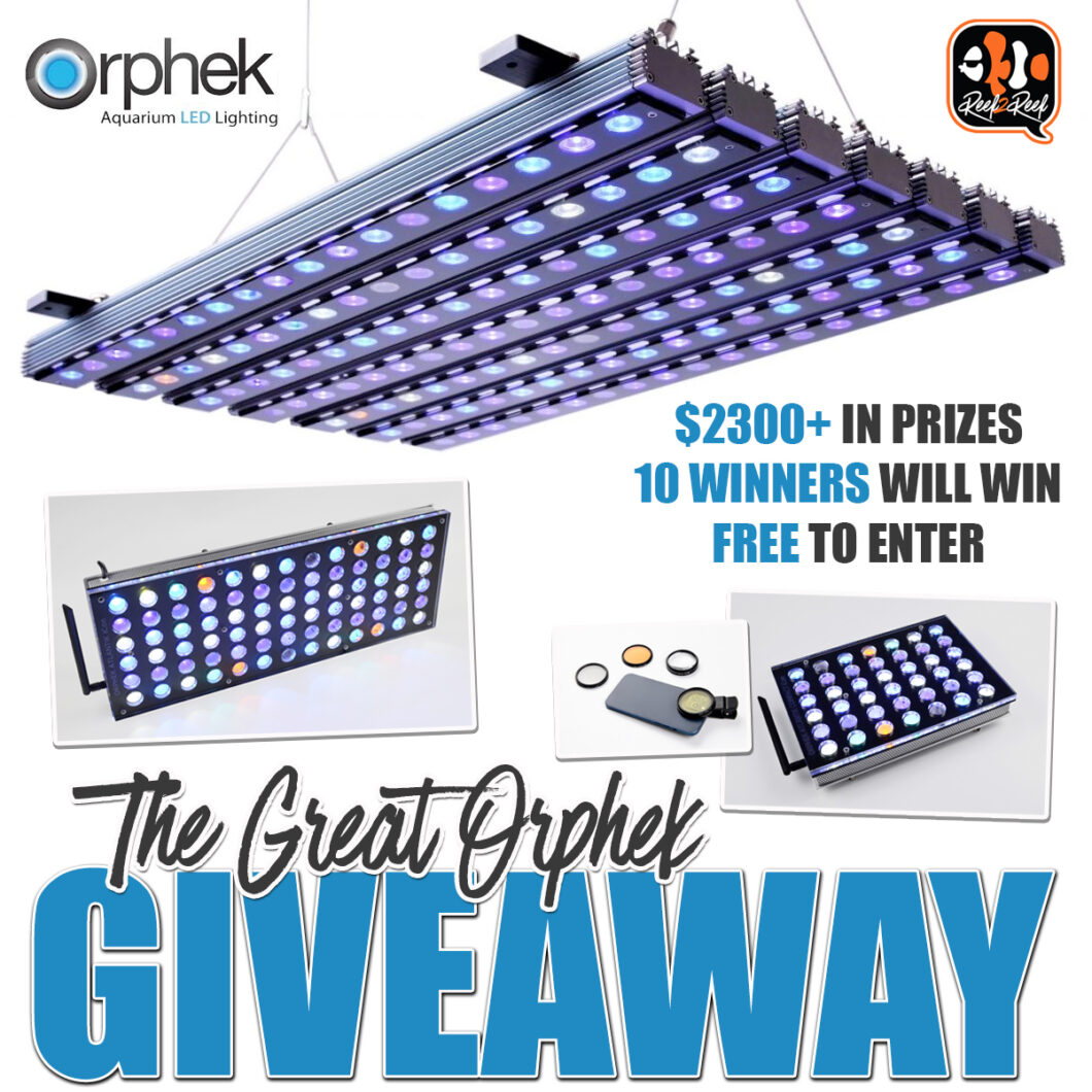 LE-GRAND-ORPHEK-GIVEAWAY-Were-drawing-10-WINNERSjpeg