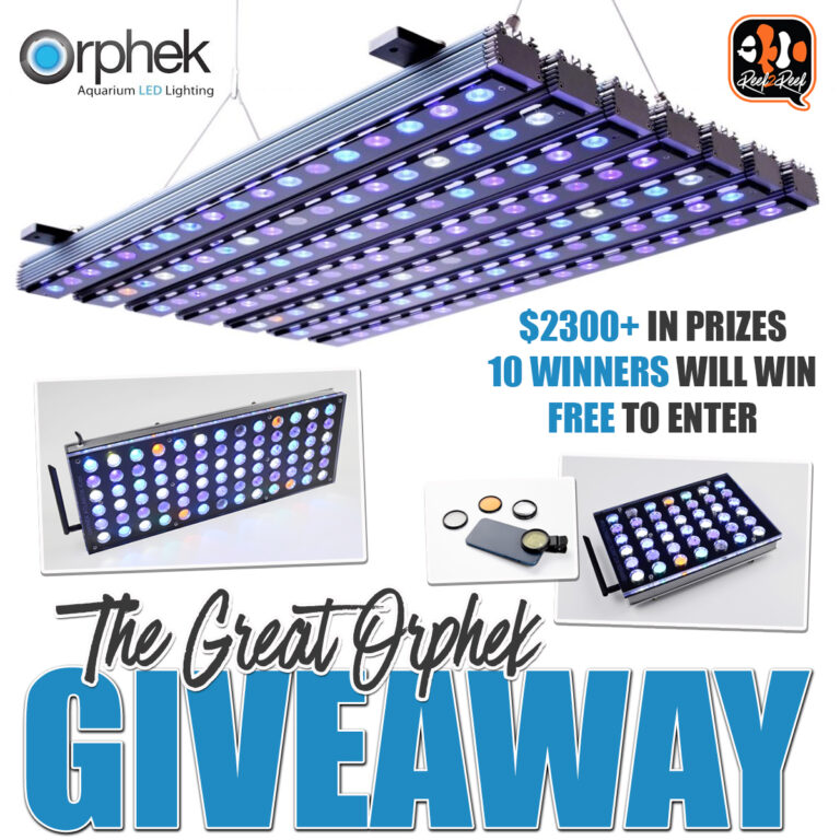 THE-GREAT-ORPHEK-GIVEAWAY-Were-drawing-10-WINNERSjpeg