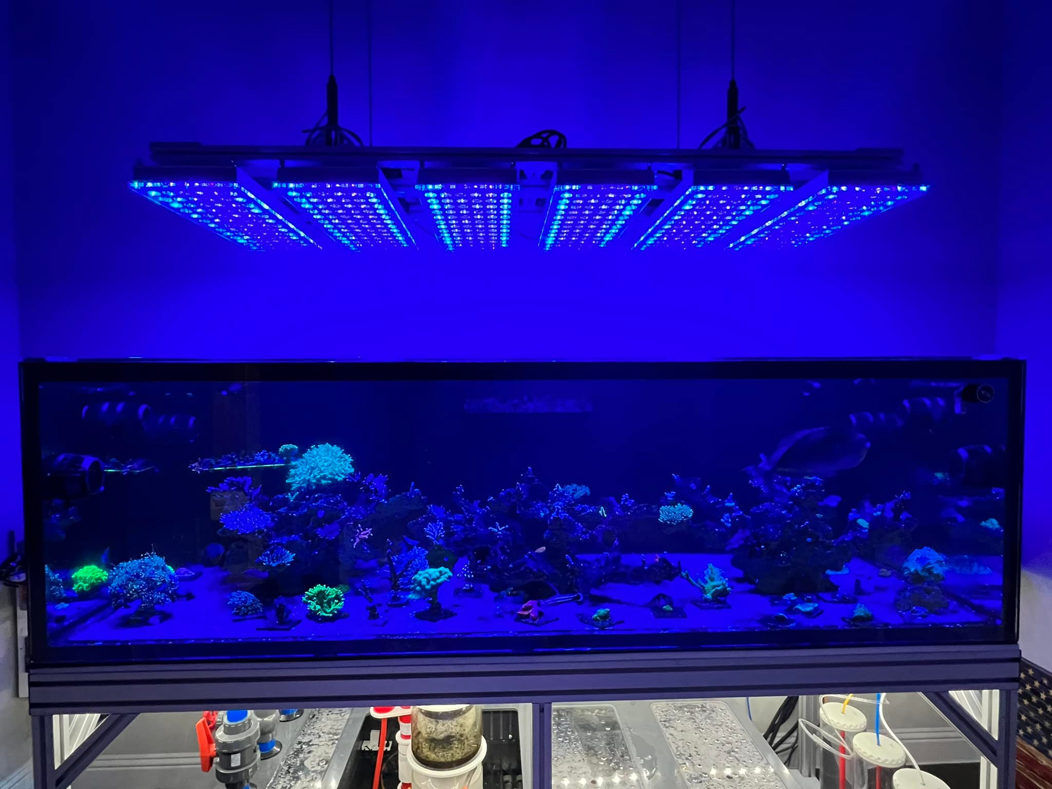 6-orphek-atlantik-icon-rif-aquarium-led-lichtblauw-