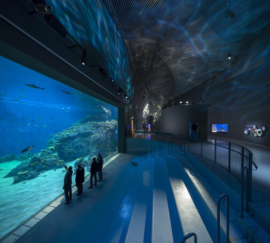 öffentliches Aquarium LED-Licht orphek