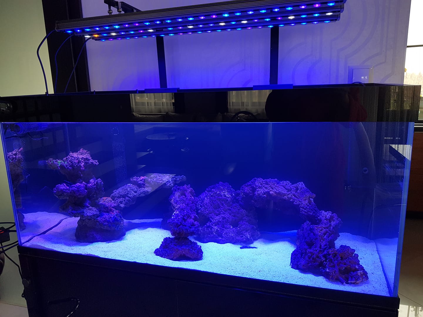OR3 рифовый аквариум со светодиодной панелью orphek mount arm