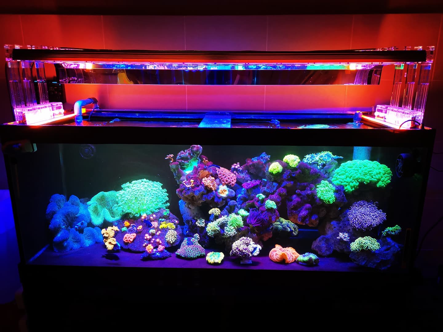 Orphek-Aura-Acryl-LED-Bar-oder3-Riff-Aquarium