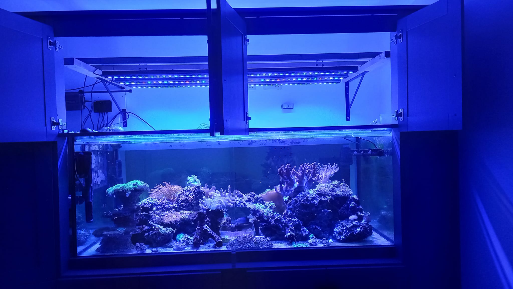 Orphek OR3 150 led 酒吧珊瑚礁水族馆