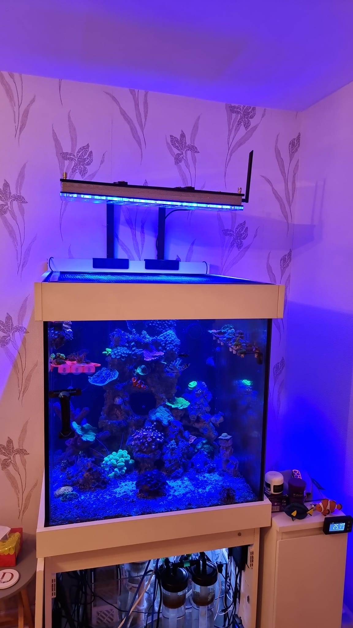 Orphek atlantik icon montaje brazo arrecife acuario led iluminación
