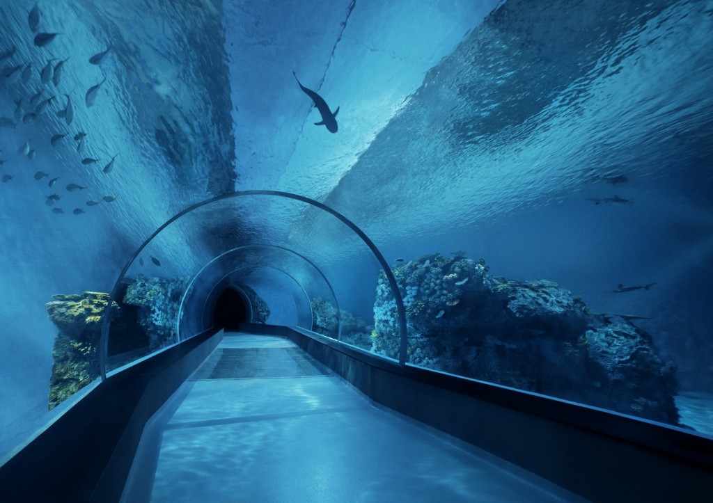 túnel de tiburón orphek led