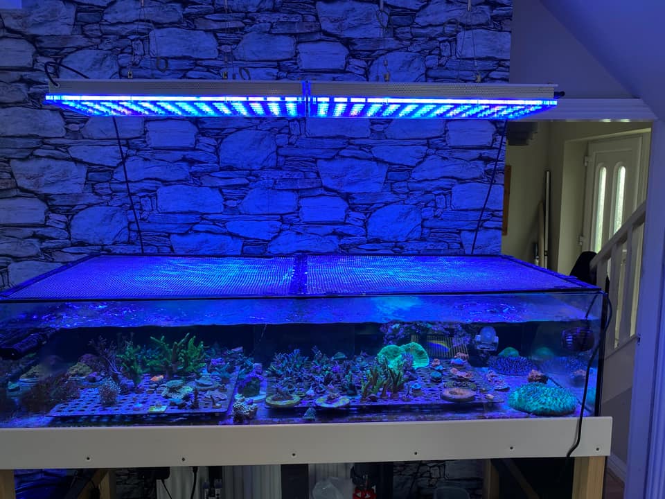 orphek atlantik icon aquário de recife led luz azul