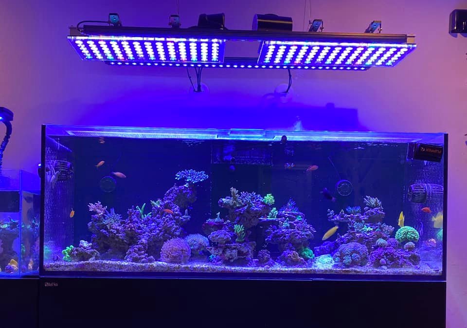 orphek atlantik -kuvake ja or3 led bar riutta -akvaario led-valo