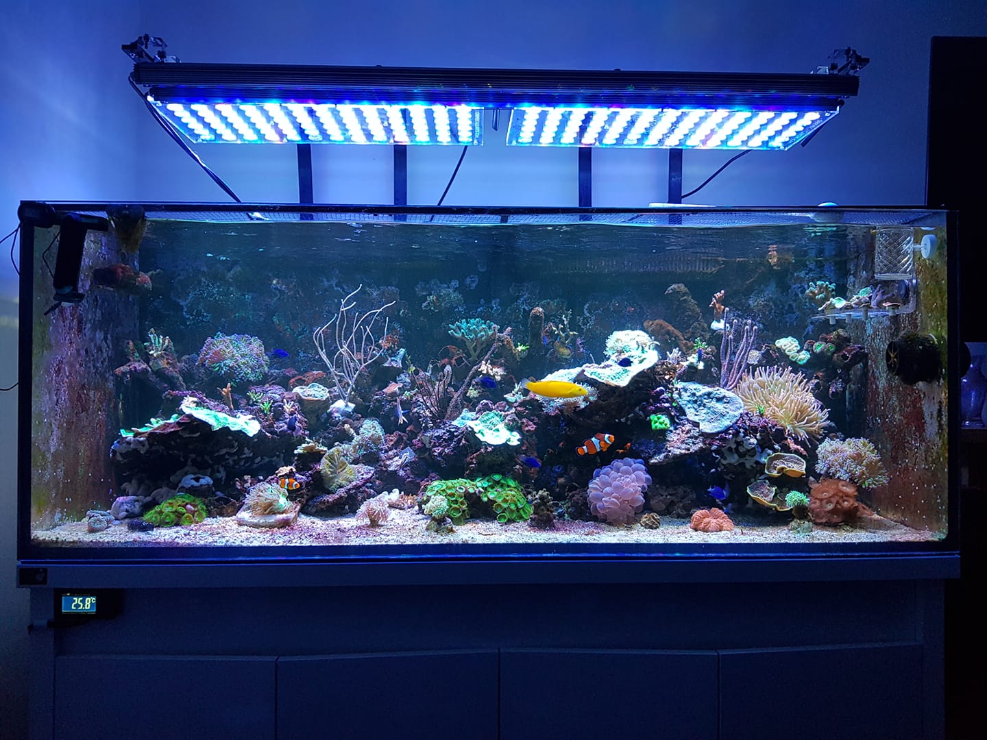orphek atlantik icône et or3 bras de montage récif aquarium led lumière