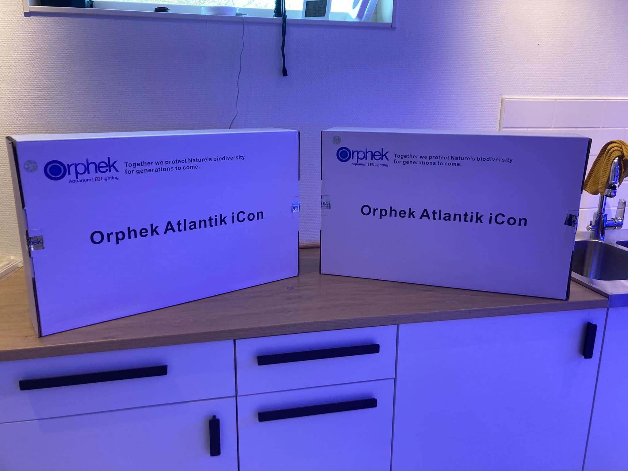 orphek_atlantik_icon