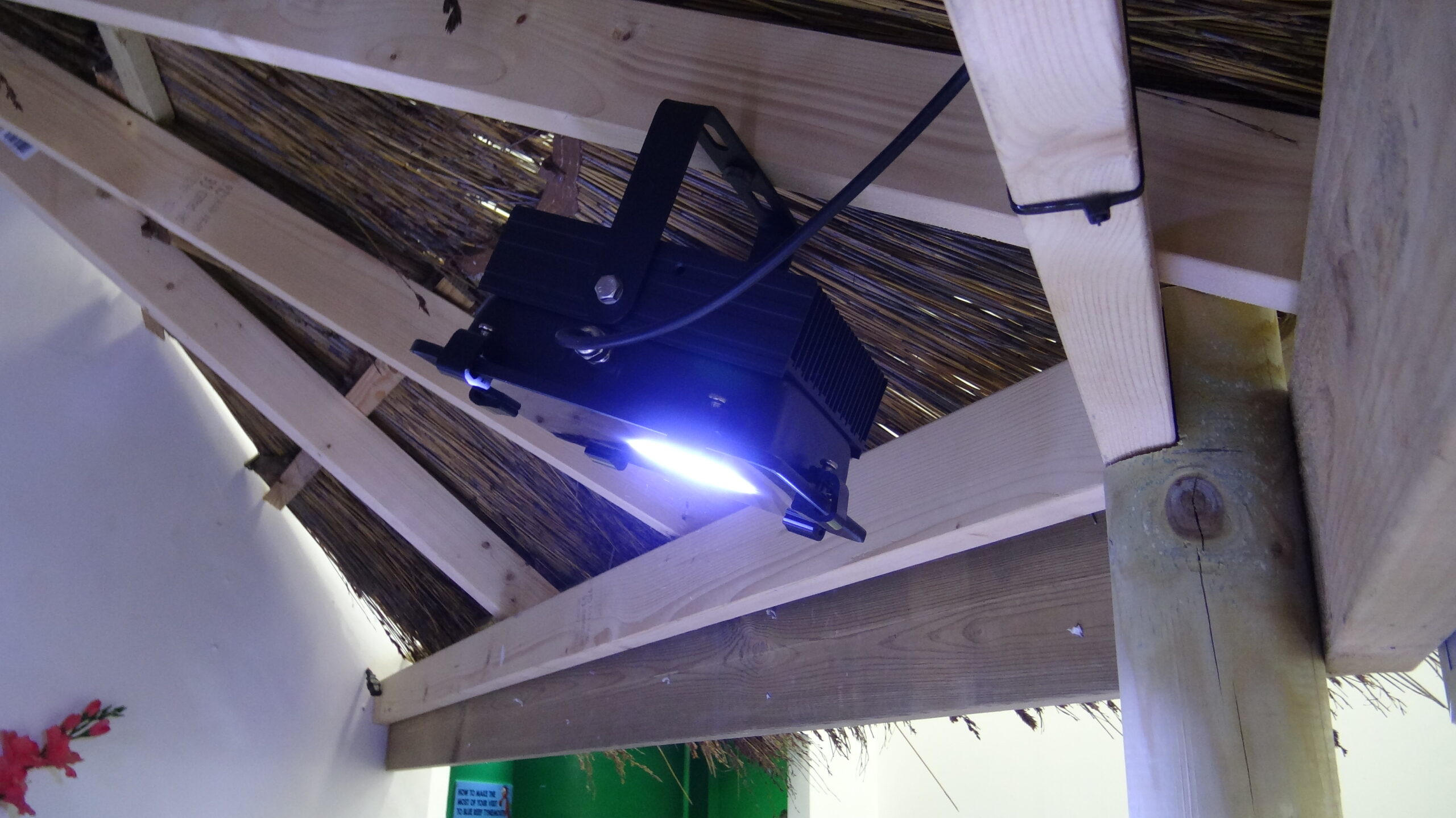 Orphek Amazonas 80 LED Light akuarium publik.