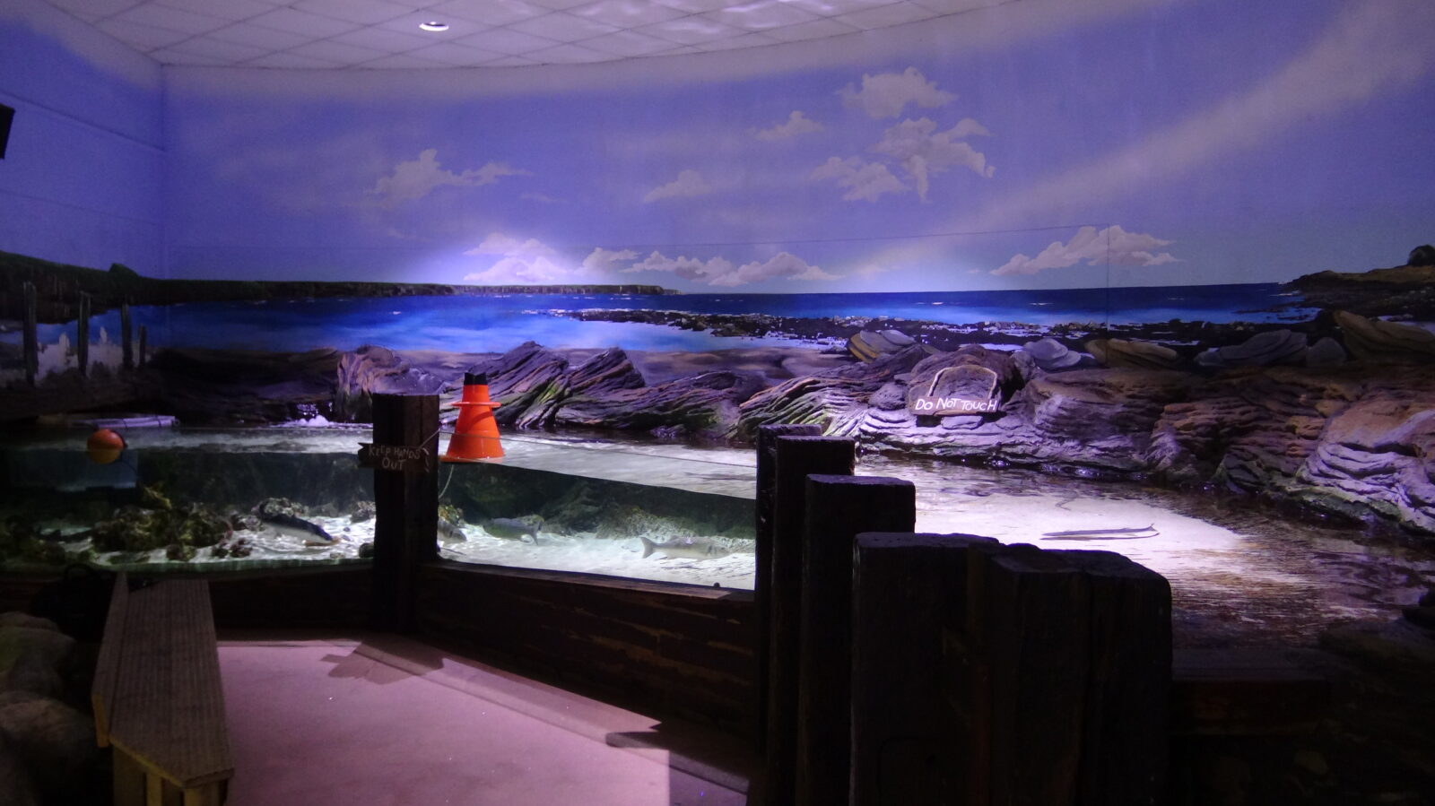 lumières d'aquarium public
