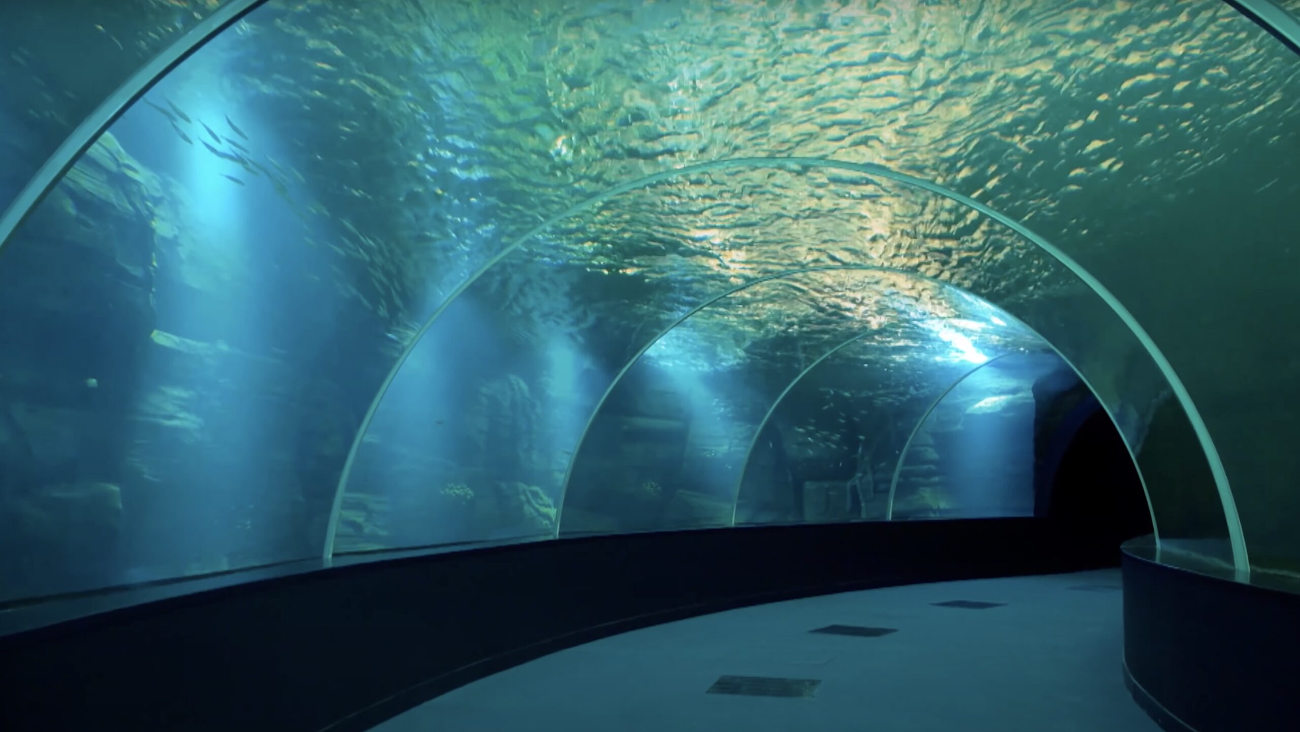 aquário público luz led tunel