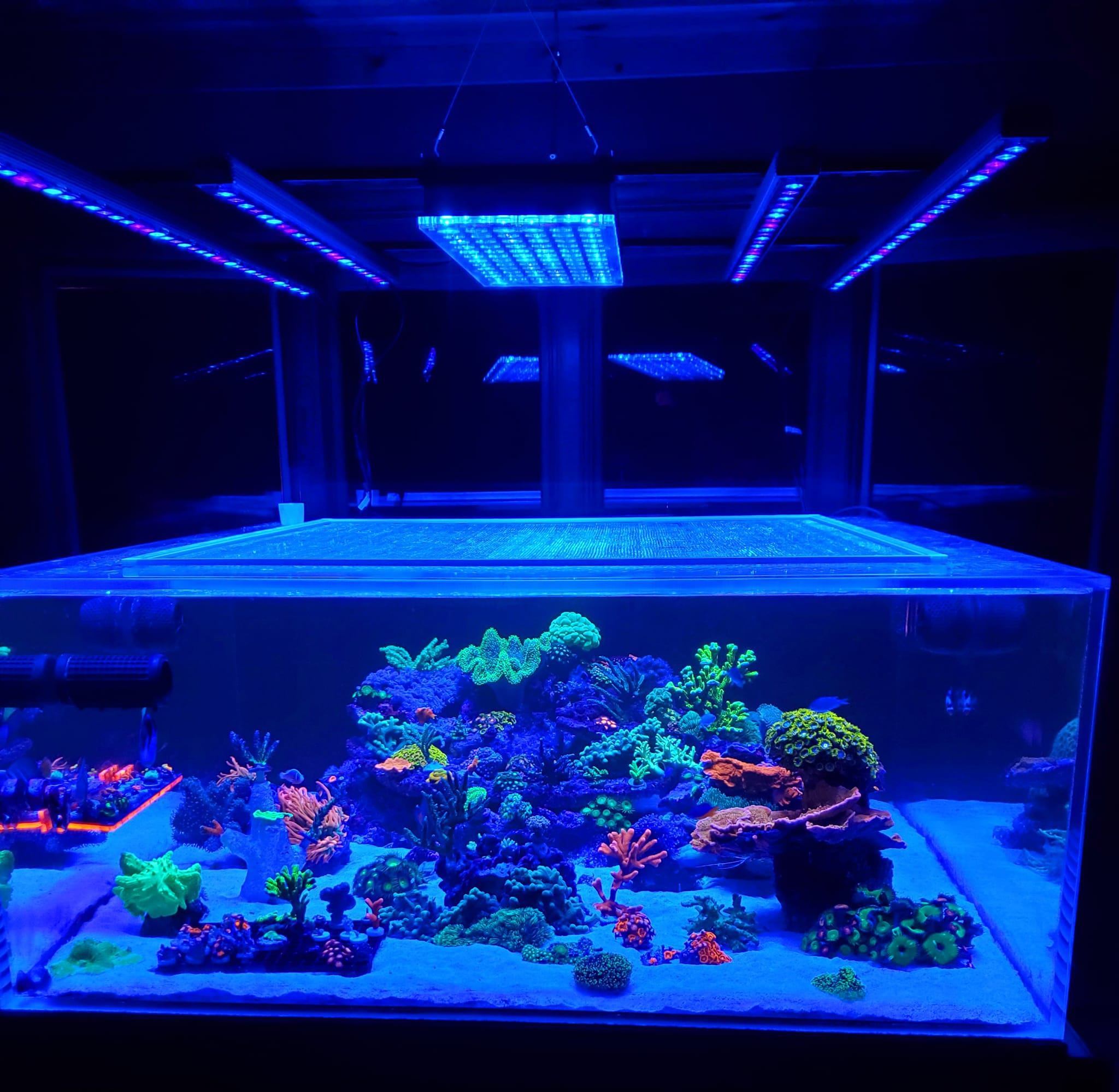 riutta-akvaario-LED-valaistus-atlantik-kuvake-ja-OR3-LED-palkki
