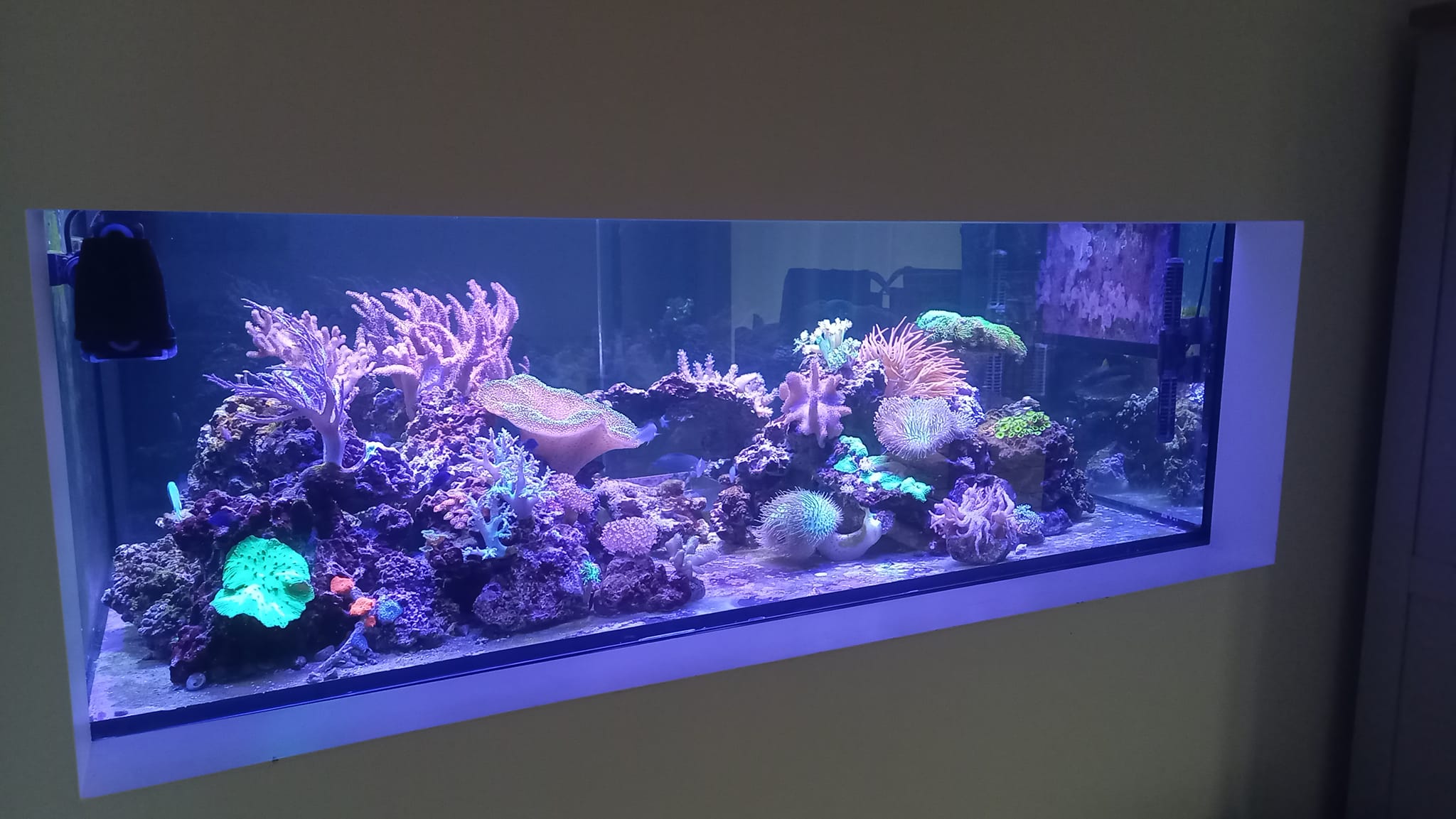 дневной свет для рифового аквариума или светодиодная панель 3 150