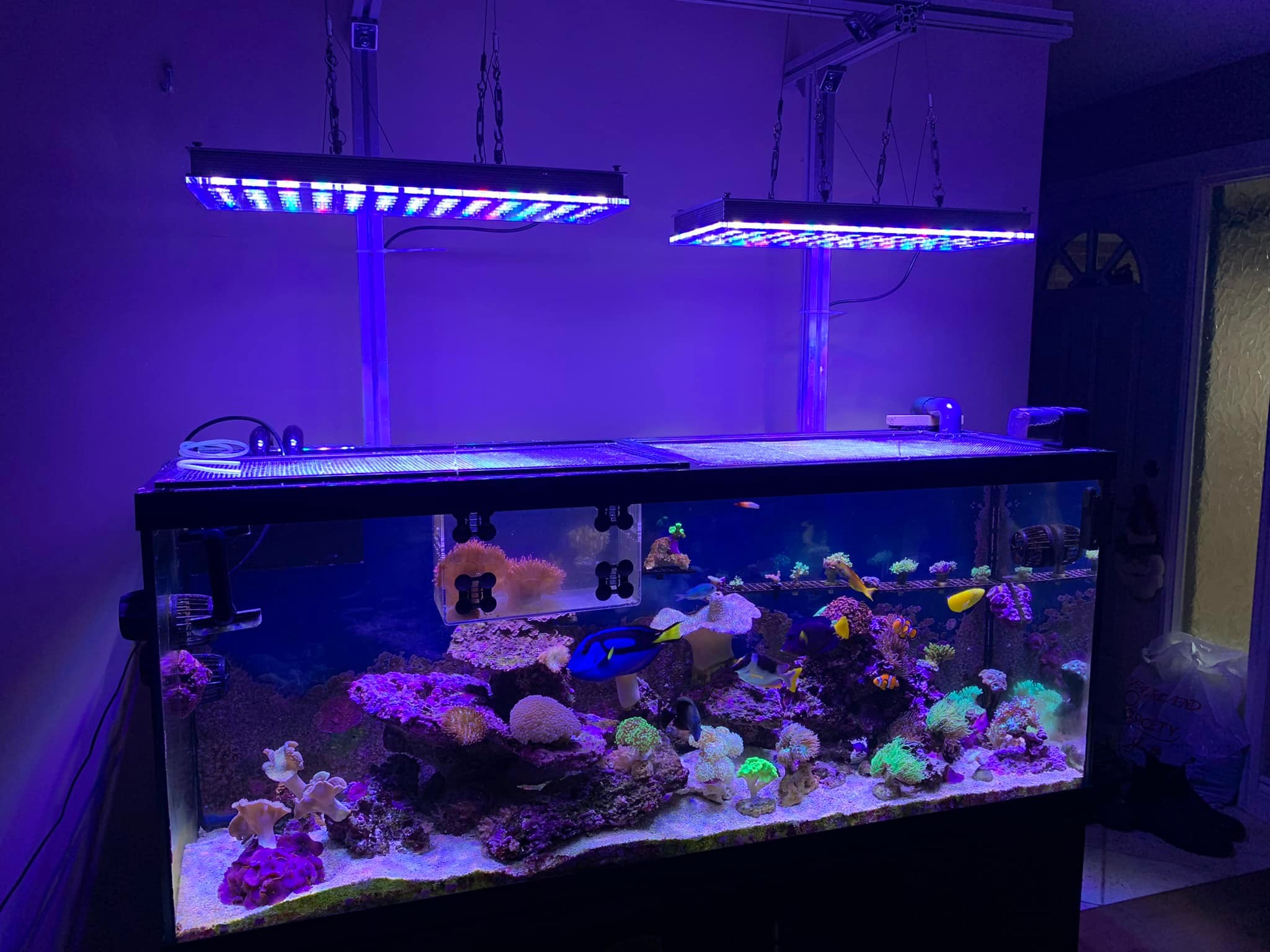deux éclairages led pour aquarium récifal Orphek atlantik iCon
