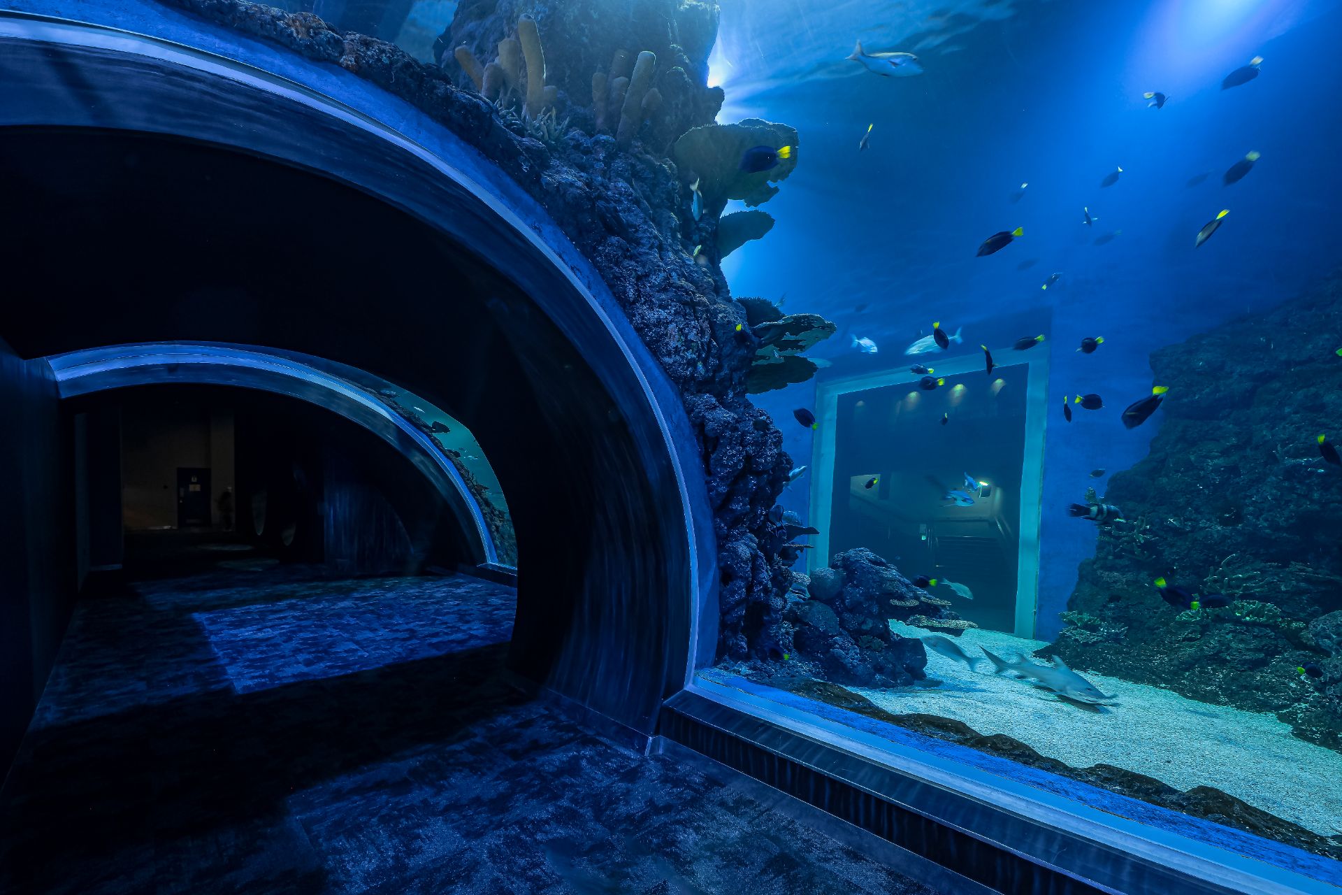 Mall-of-Muscat-akvarium-tunel-orphek-led-lys-