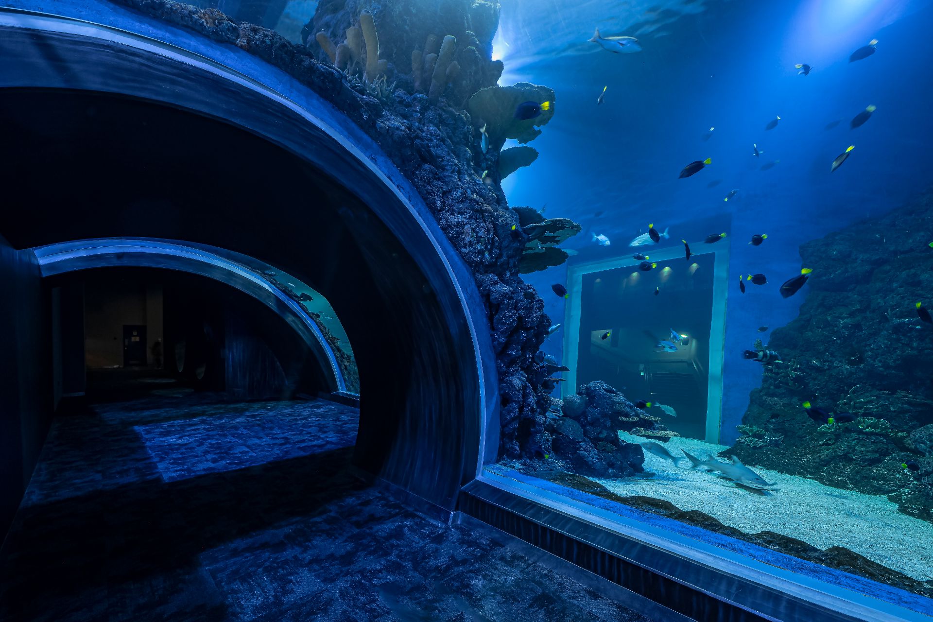 Mall-of-Muscat-acquario-tunel-orphek-luce-led-