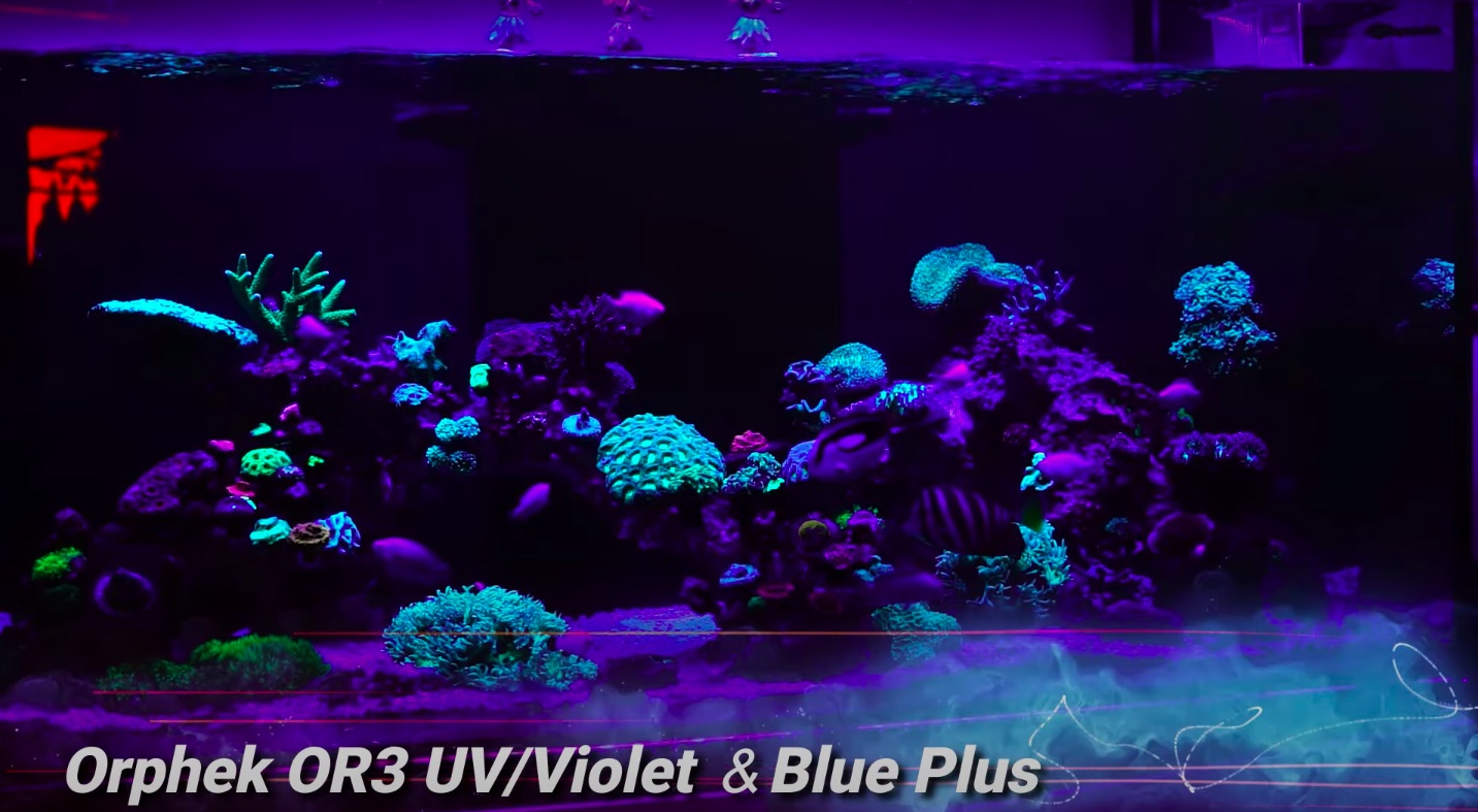 Unboxing and review OR3 120 Blue Plus & UV Violet by Japanese