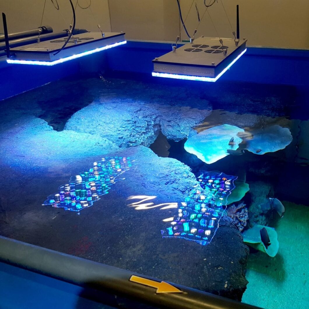 オマーン-マスカットのモールの水族館は、中東の水族館であり、Orphek-LED-Lighting-Atlantik-iconによって照明されています