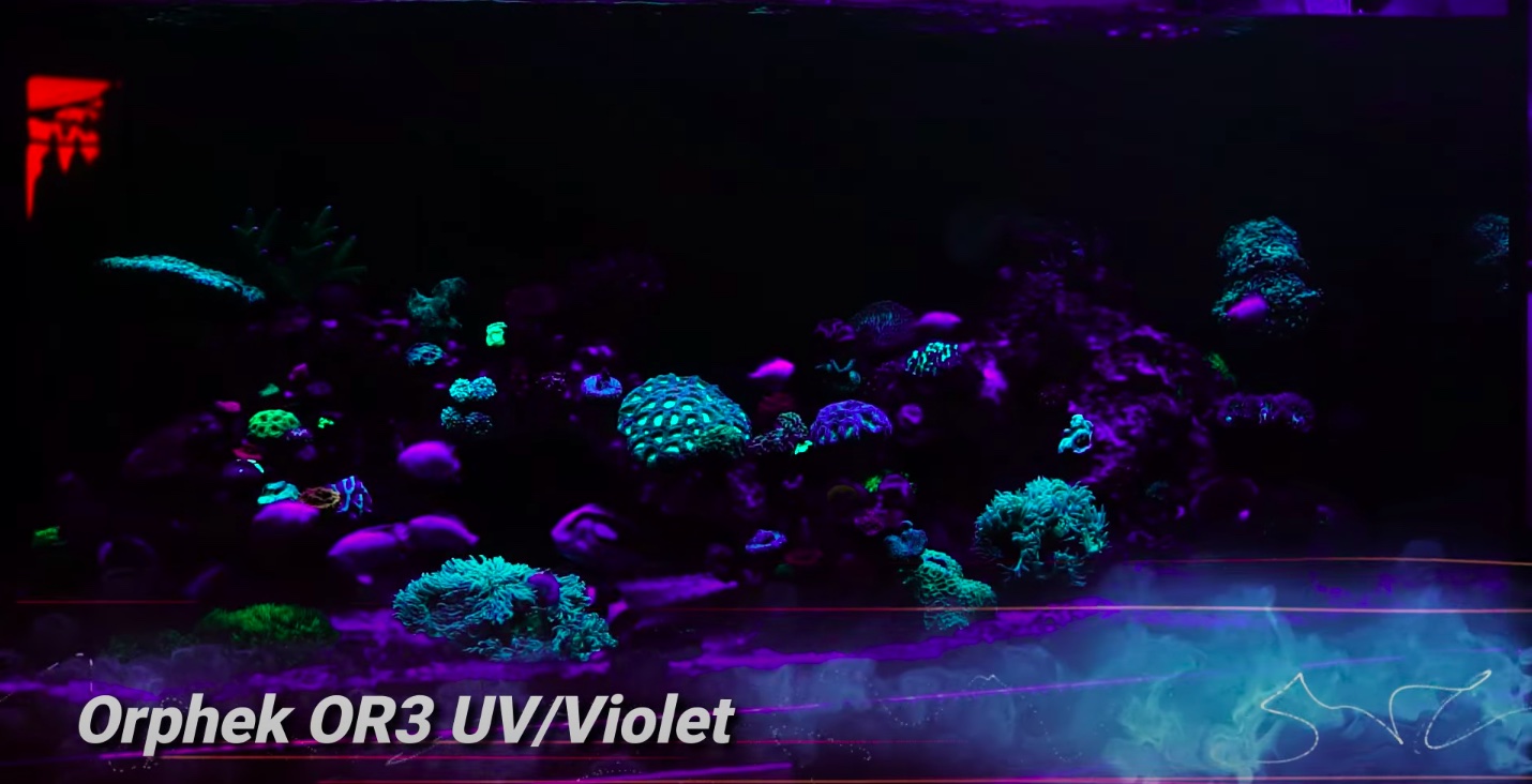 Orphek-OR3-120-UV-Violeta-barra-led-arrecife-