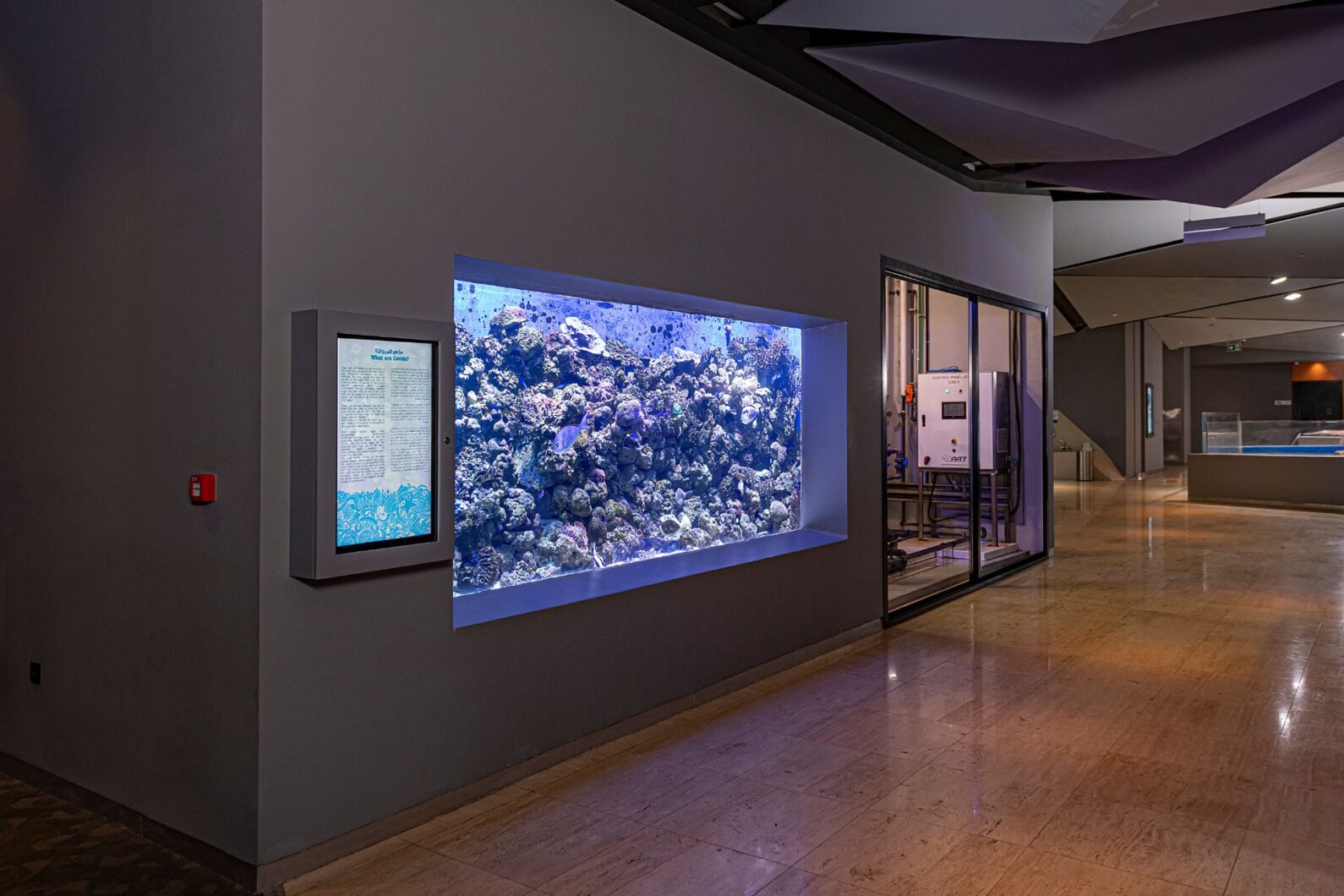 meilleure-lumière-led-pour-aquarium-public-orphek-